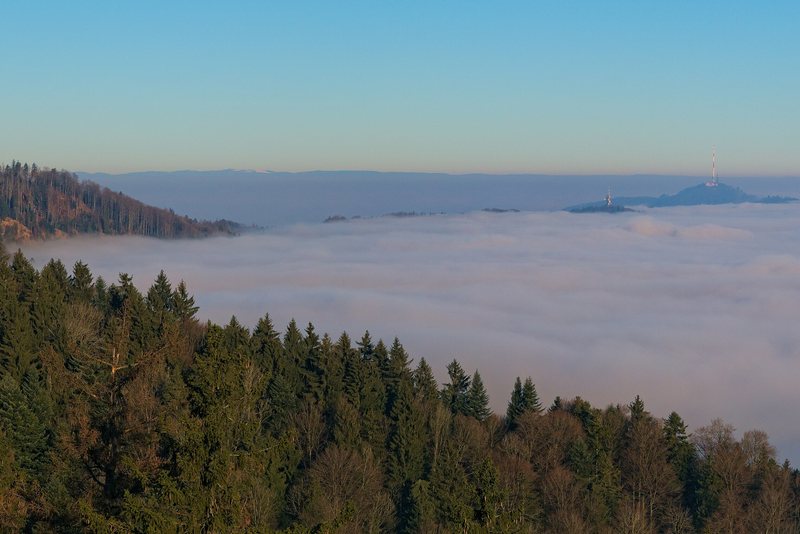 Blick über den Albis auf das Nebelmeer im Zürcher Mittelland, rechts der Uetliberg
